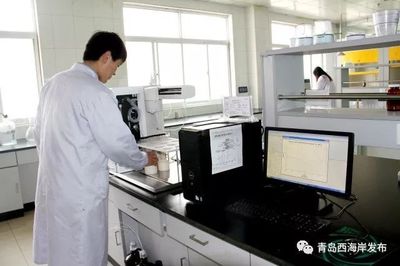 新區(qū)這家企業(yè)獲批2017年度國(guó)家地方聯(lián)合工程研究中心