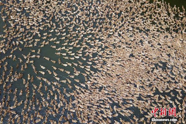 炸裂!看看利物浦一個夏天干了啥:2破英超引援紀錄 砸下4.9億歐