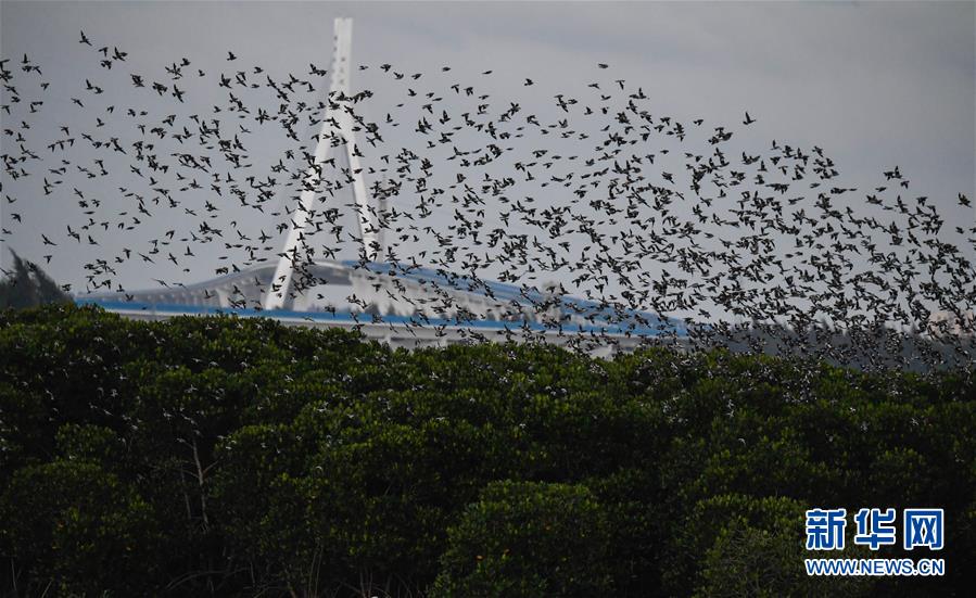 早起后酸痛無力,不知道是什么原因?可能是六種疾病導致