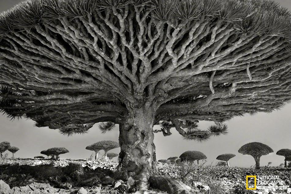 9日早報：沃神或從雅虎跳槽ESPN 特納掌骨骨折