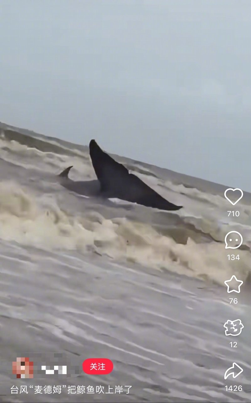 汪毅：捐獻生命“火種” 點亮希望之光