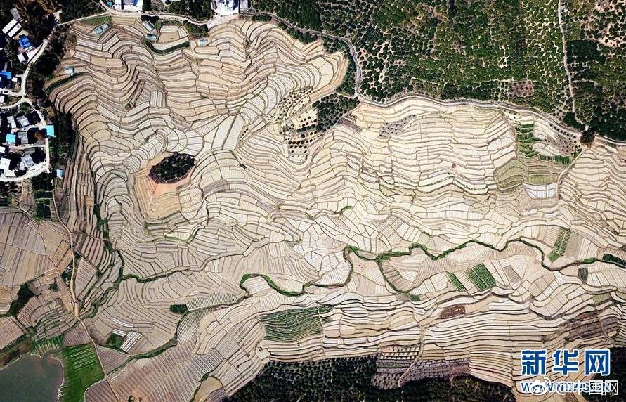 費迪南德：庫爾圖瓦說拉門斯很厲害，世界前三門將說的話我信