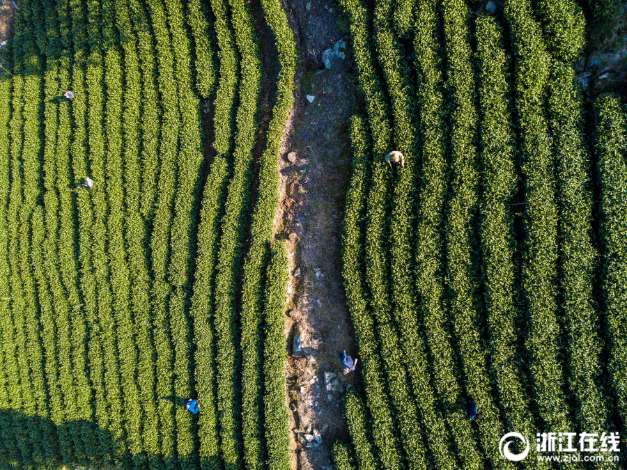 腳心發熱是怎么回事，認真對待腳心發熱，留意身體異常