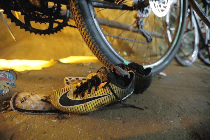 寵物食品上市公司去年業績亮眼 自主品牌加速崛起