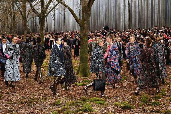 吃木瓜真有豐胸效果？除了豐胸，你可能還不知道它有這些作用