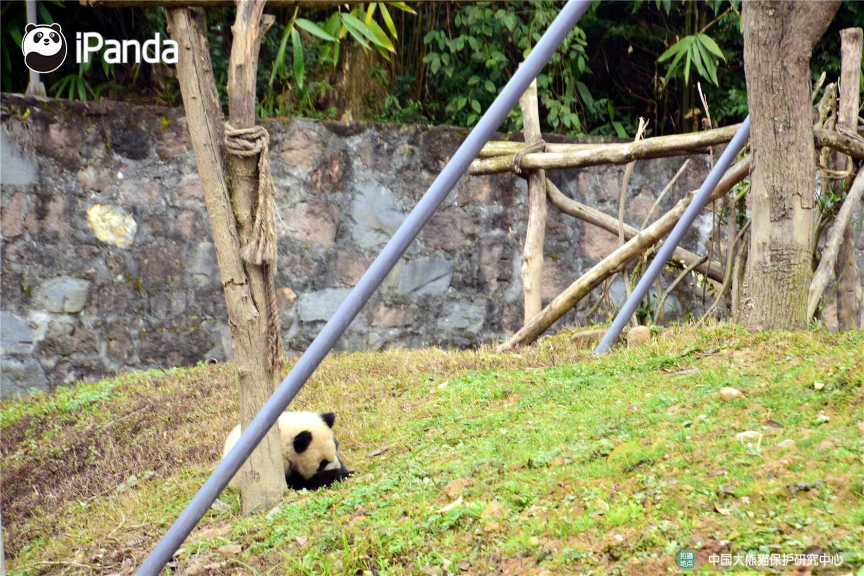 哪些疾病，容易在夜間發(fā)作，影響到你的睡眠，需及時調(diào)理