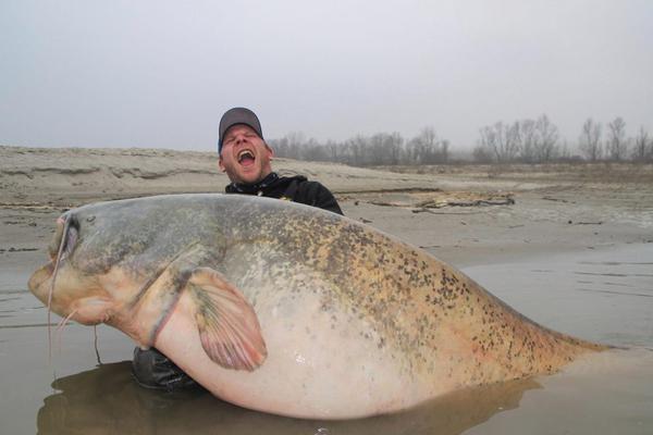 身體長疣，不是無端端的，小心這3種，看看自己有沒有