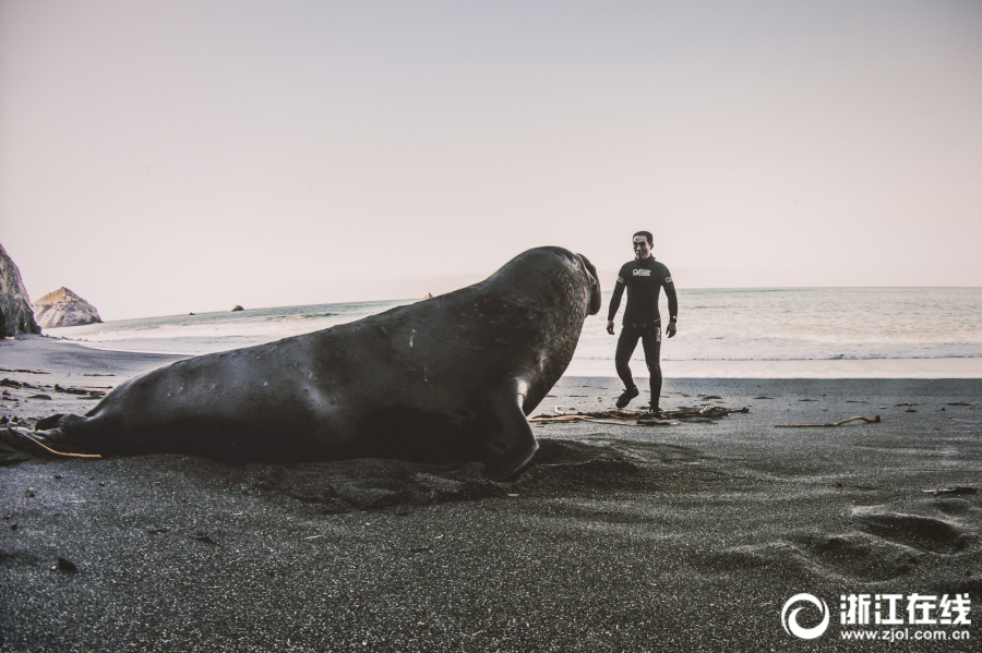 “舌尖安全”重修法更需重執法