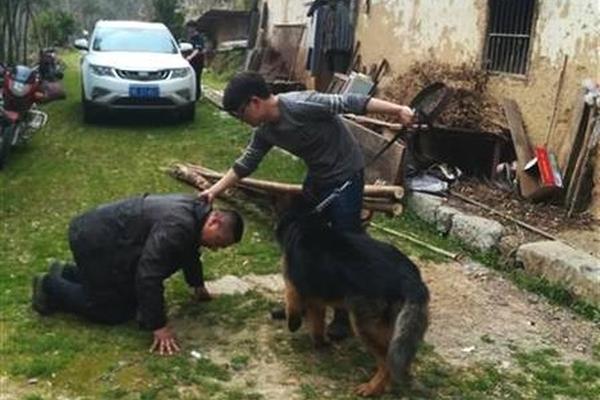 新華網：這條鞍鋼產線如何“新生”！