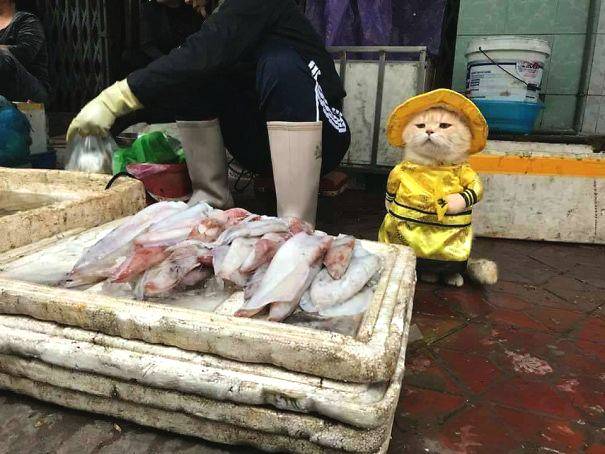 3輪4分！英超下課首人獲官宣 51歲名帥與老板總監決裂 穆帥或接任