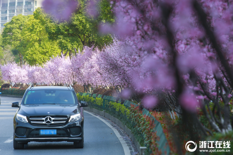 手臂酸痛反復出現，可能是五個病因造成，對癥下藥