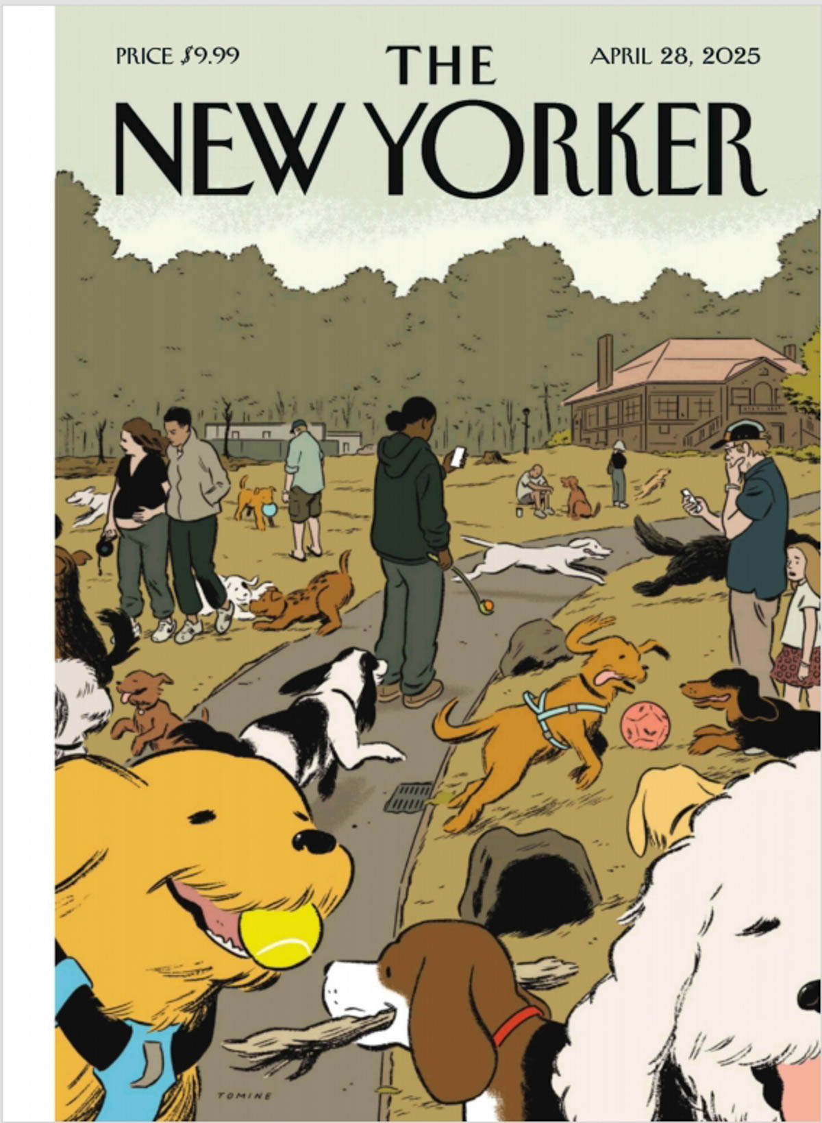 勇士將帥挺格林贏DPOY 追夢五防守數(shù)據(jù)隊內居首