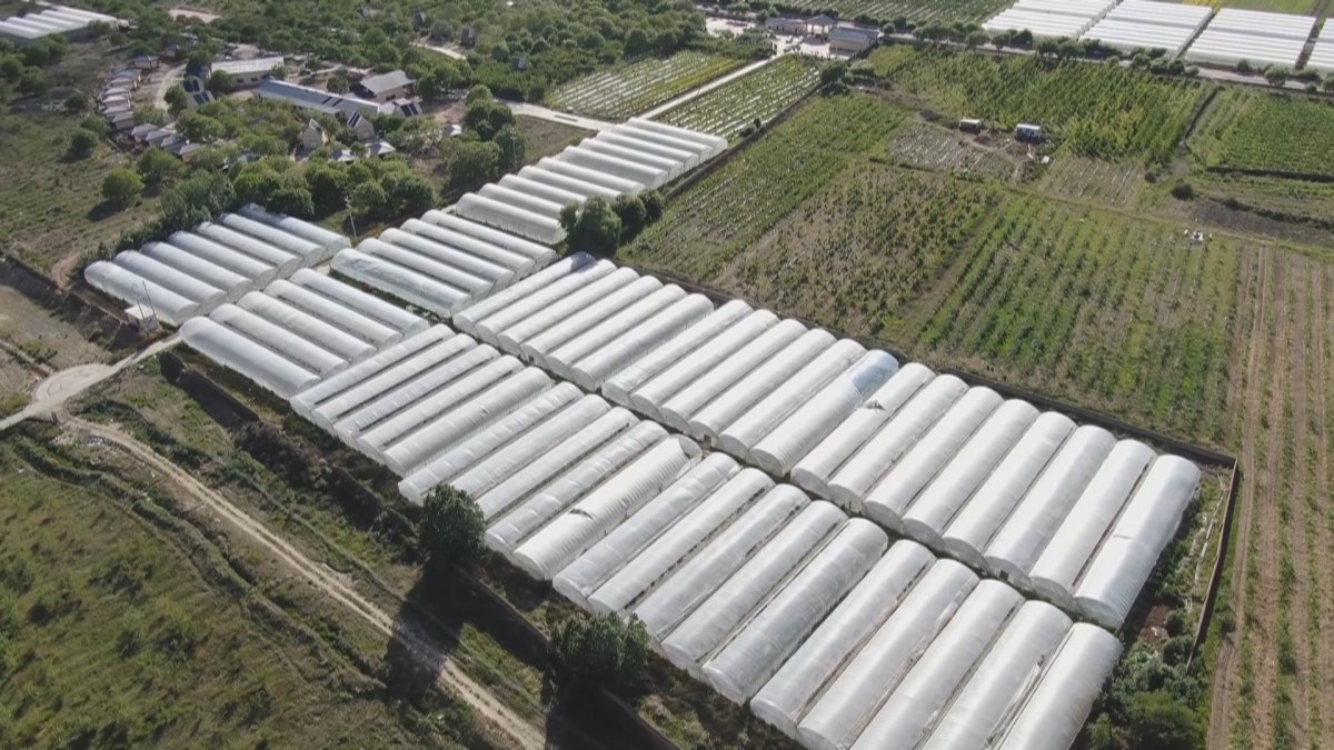 漢陰縣公安局森林警察大隊堅持黨建引領 護航生態安全