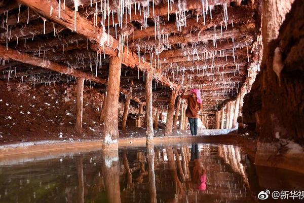 今日辟謠（2024年8月9日）