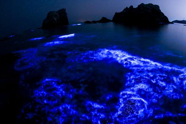 羅馬諾：穆阿尼已與熱刺簽約，他已是熱刺球員了