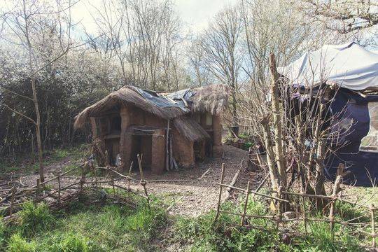 跟著劉畊宏跳燃脂操，就能瘦下來嗎？減肥期間，別忘了做好一件事