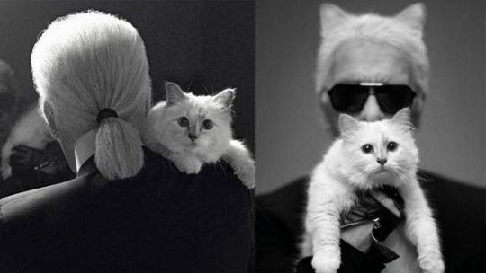 牛奶和豆漿，哪個對身體有好處？這4個區別，不妨一看