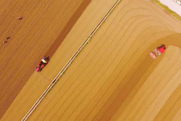 癌癥與死亡是否劃上等號，臨床多用五年生存率來判斷，勿過于擔憂
